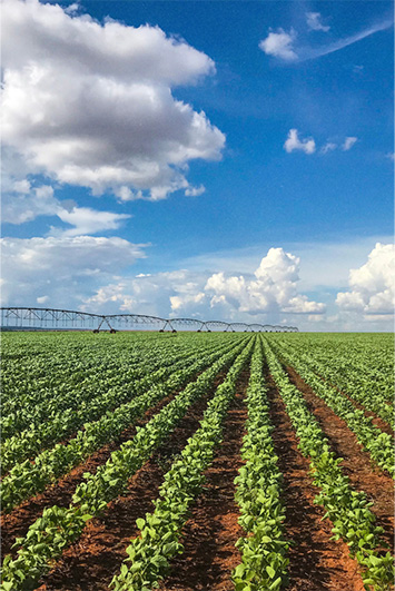 Direito do Agronegócio NMP