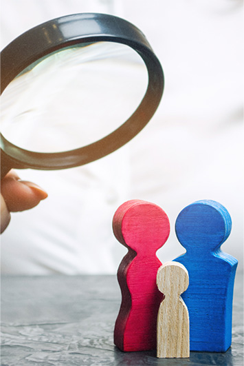 Organização Patrimonial Familiar NMP