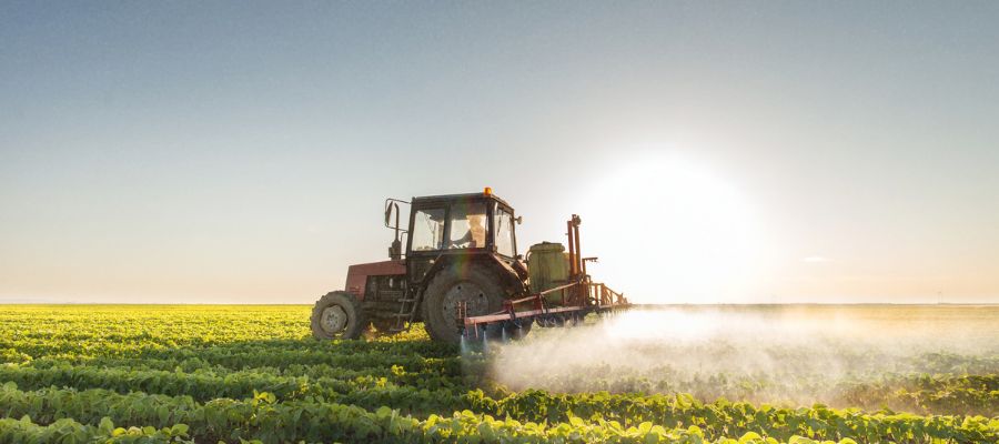 Segurança Alimentar