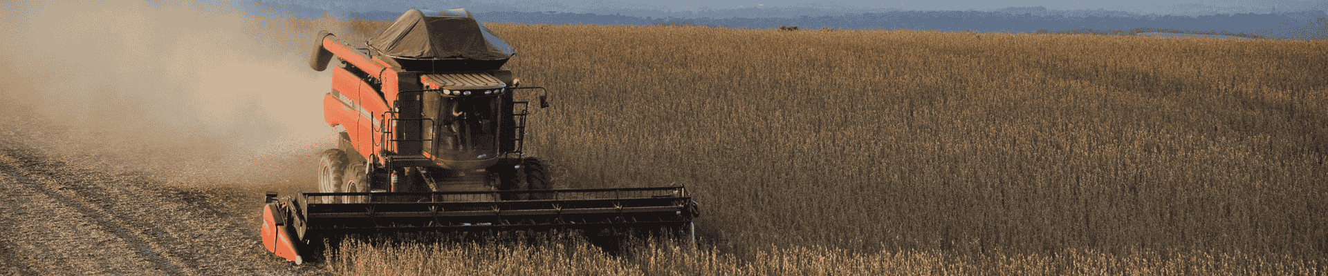 Impactos da Medida Provisória 1.303/2025 no Agronegócio