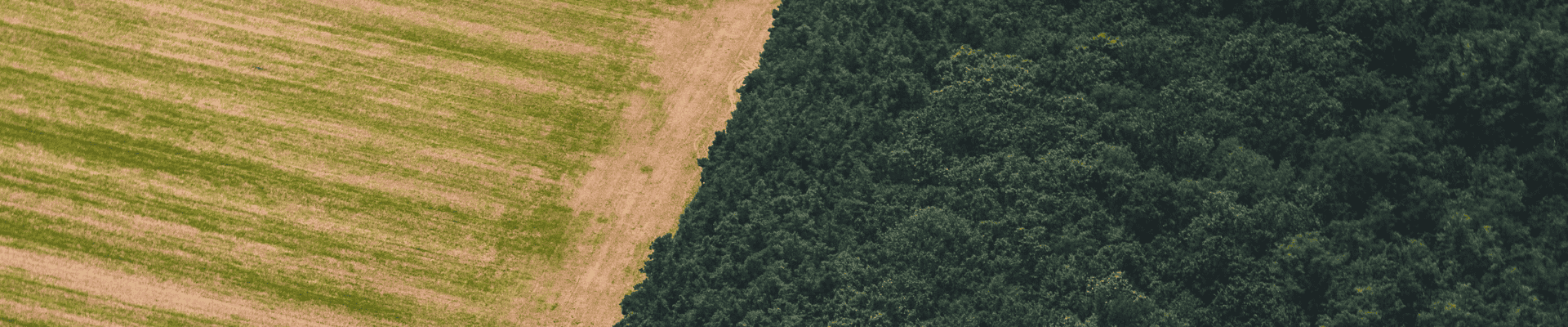 Desapropriação de terras por desmatamento e incêndio ilegal: O que o produtor rural precisa saber?